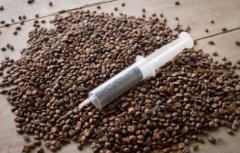 咖啡因是毒品吗?咖啡因有什么危害?
