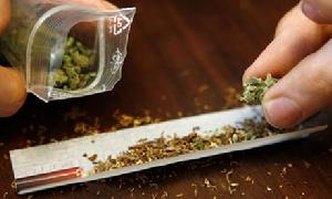 大麻的危害有哪些？该怎么戒除大麻？