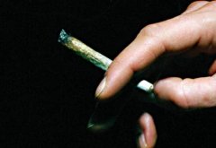 大麻成瘾的症状有哪些?长期吸食大麻对人体有什么影响?