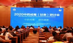华佑医疗助力“中药戒毒”康复新模式——李晓东教授应邀出席2020中药戒毒（甘肃）研讨会